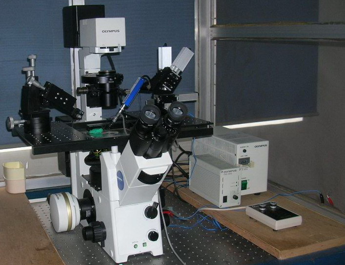 荧光显微镜、膜片钳.jpg
